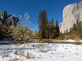 Yosemite Fall 048